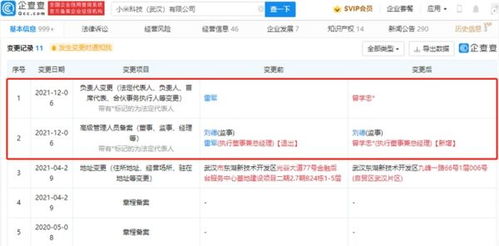 雷軍卸任小米科技武漢高管職務，聚焦戰略布局與數據處理業務發展