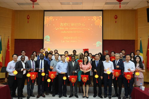 布拉柴維爾燈籠夜 中非文化交融的絢麗篇章